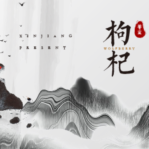 枸杞養(yǎng)生