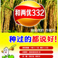 谷雨习俗