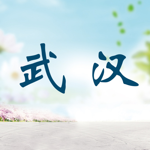 北京新理念英語(yǔ)2018大型師訓(xùn)活動(dòng)（武漢站）