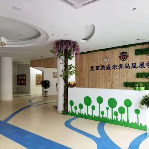 爱威尔星展花园幼儿园《小小童子军》活动