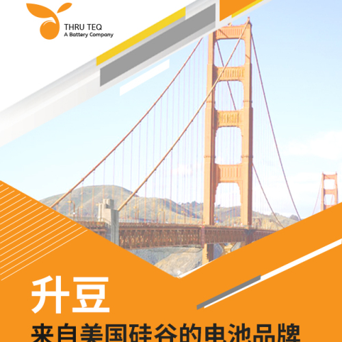 Thruteq 升豆