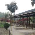 仙鱔鮮·綠洲源生態(tài)園