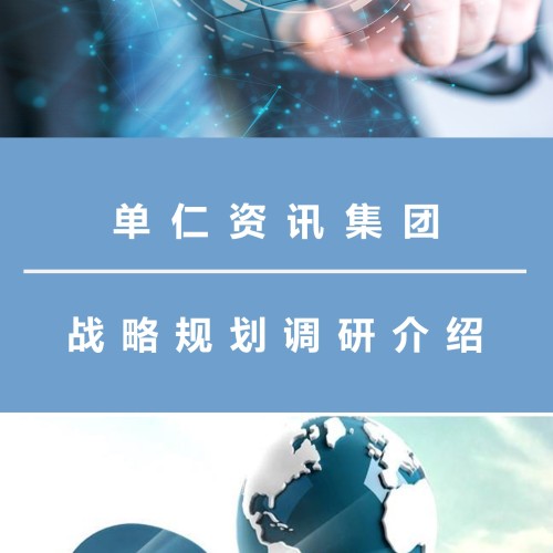 单仁资讯战略规划调研介绍