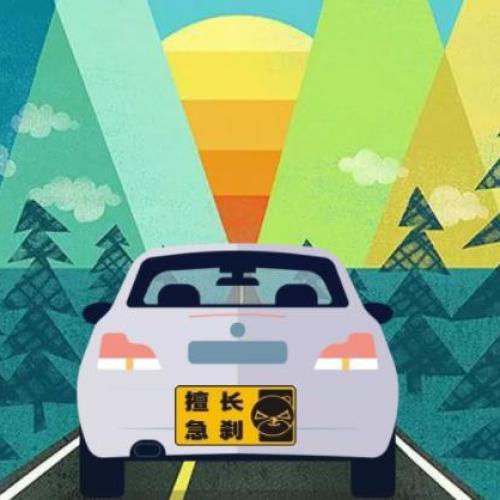 LeoCar車尾標簽由你定