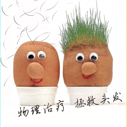 一次頭皮護理=止脫生發+頭皮緊致+頭部理療