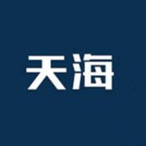 山東天海人力資源服務有限公司