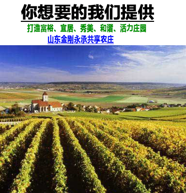 济南南山区高品质环保农庄项目推荐