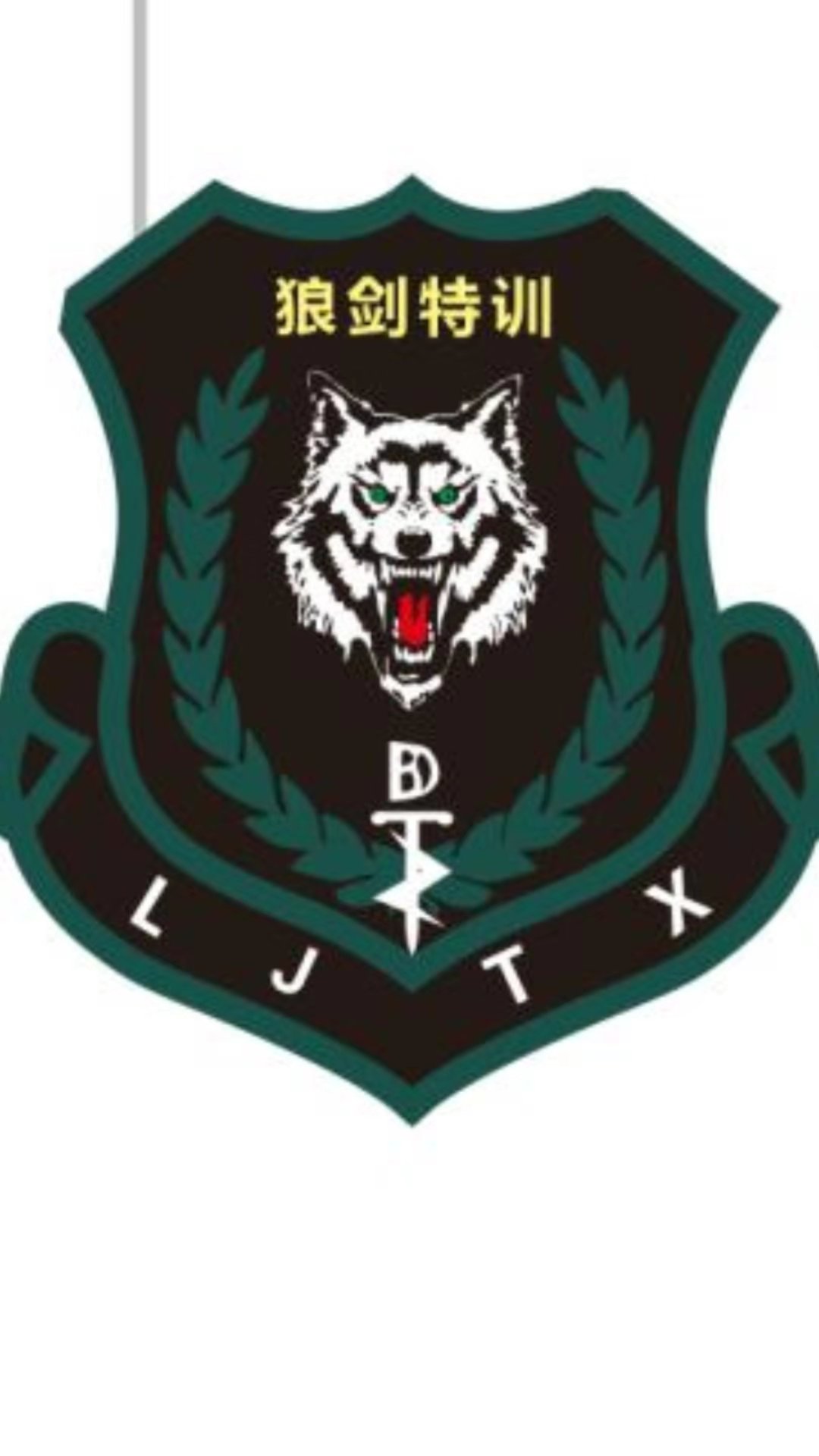 狼剑特训拓展一日营