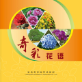 奇彩花语