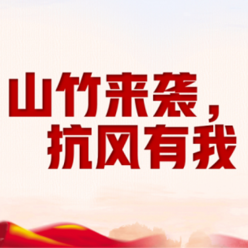 山竹來襲，抗風(fēng)有我——佛山供電黨團員走在前