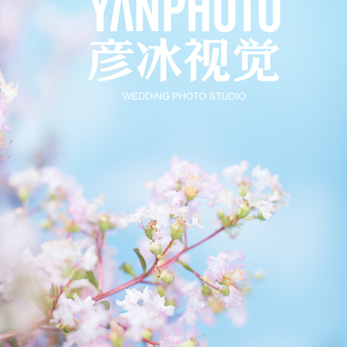 彥冰視覺