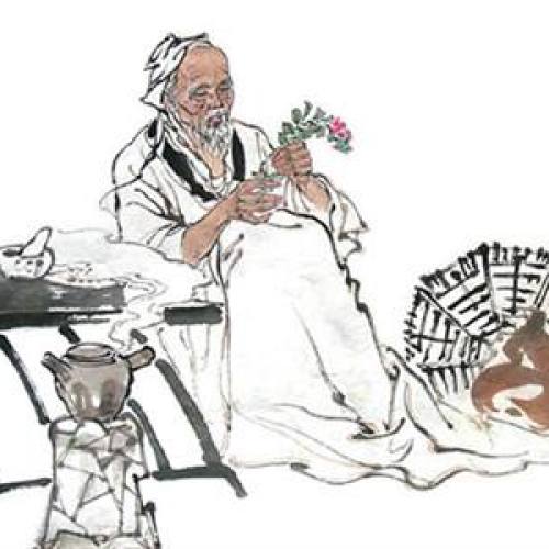 中醫(yī)包治：鼻炎青春痘失眠