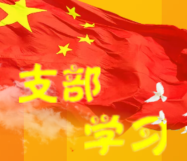 支部學(xué)習
