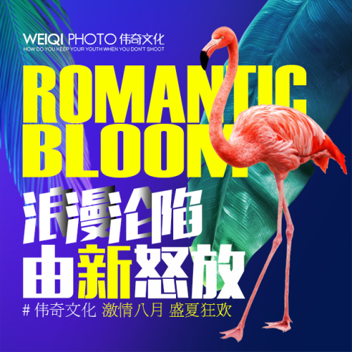 《偉奇案例》浪漫淪陷 由新怒放