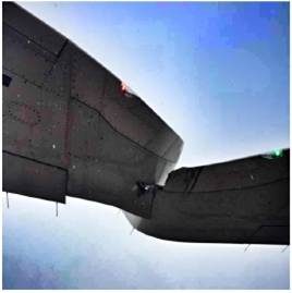 郭伟峰《异常行为识别》