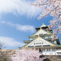 日本浪漫之旅