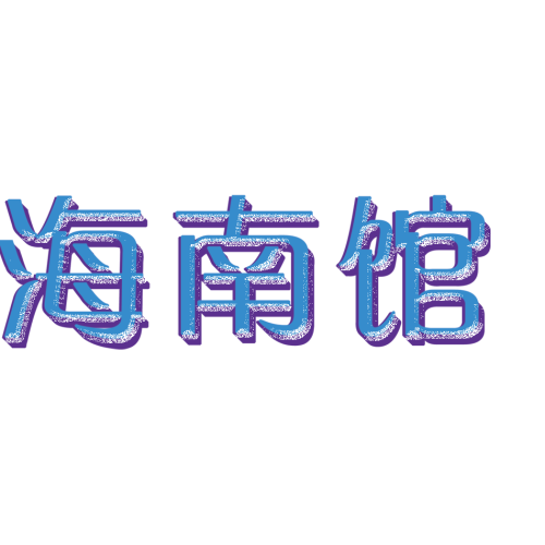 海南海購節(jié)之海南特產館