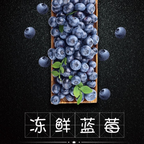 [330]加拿大进口蓝莓-冻鲜蓝莓厦门本地冷链配送