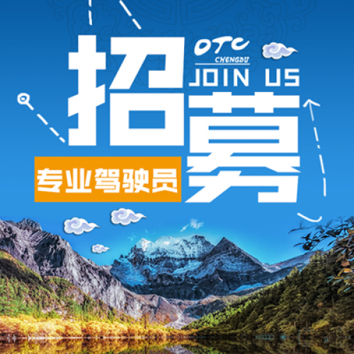 【招募】專業(yè)駕駛員！