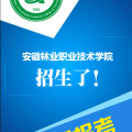 招生信息