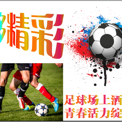 志高體育文化有限公司項目簡介