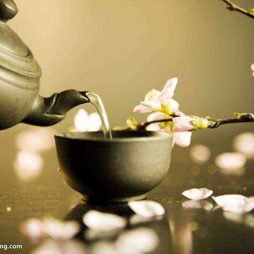 陈皮茶馆
