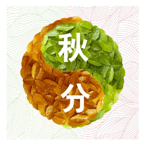 秋分