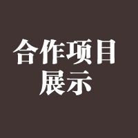 合作项目