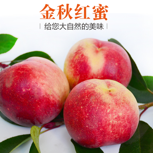 {{微信昵稱}}邀您愛心助農(nóng)，陵城郵政冬桃優(yōu)惠購