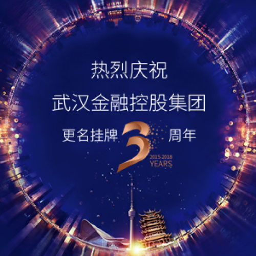 武漢金融控股集團