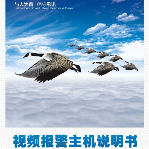 視頻聯網報警說明書