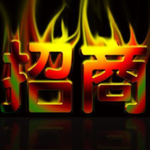 [副本]威武汽車金融全國招商政策