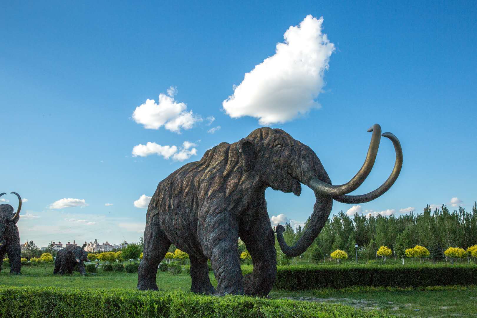 行程通知单（应小川）