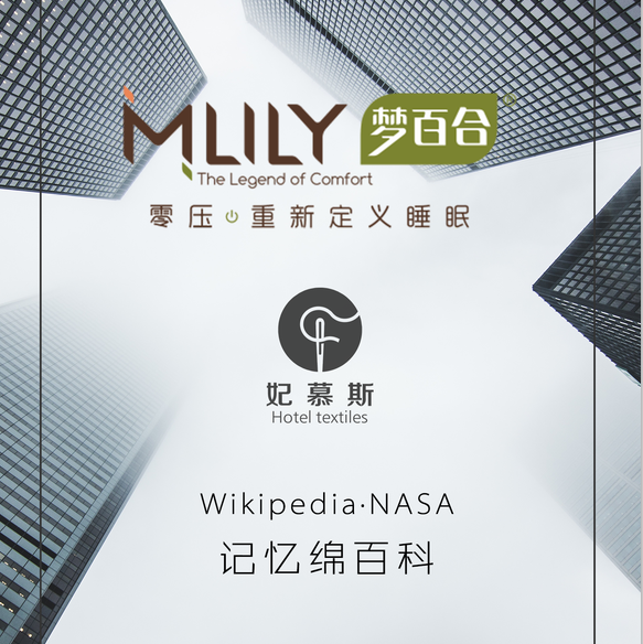 記憶綿百科