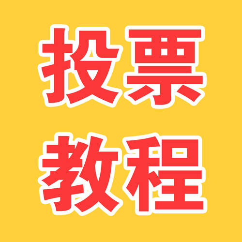 投票教程