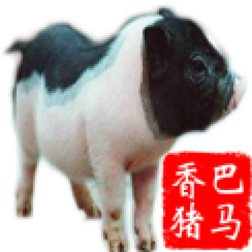 巴馬香豬-健康品質(zhì)◆源自道峰山下