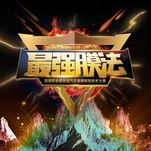 逍遥哥全国首届汽车窗膜装贴技术大赛