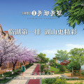 金湖盛景II美湖美墅預(yù)約看房