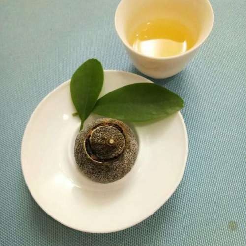 招生啦|樂馨茶苑等你來！