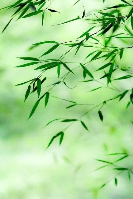 企業(yè)宣傳