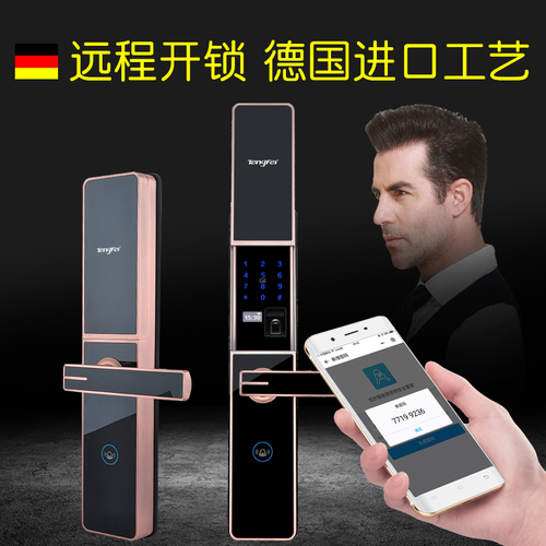 高端大氣智能指紋密碼鎖319V