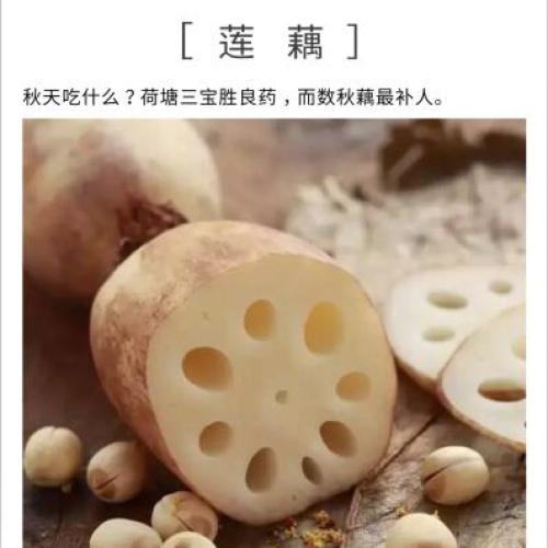 河北工院9月菜單
