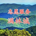 志愿服務滿林城