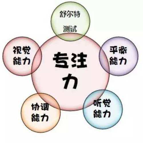 樂伴專注力提升營