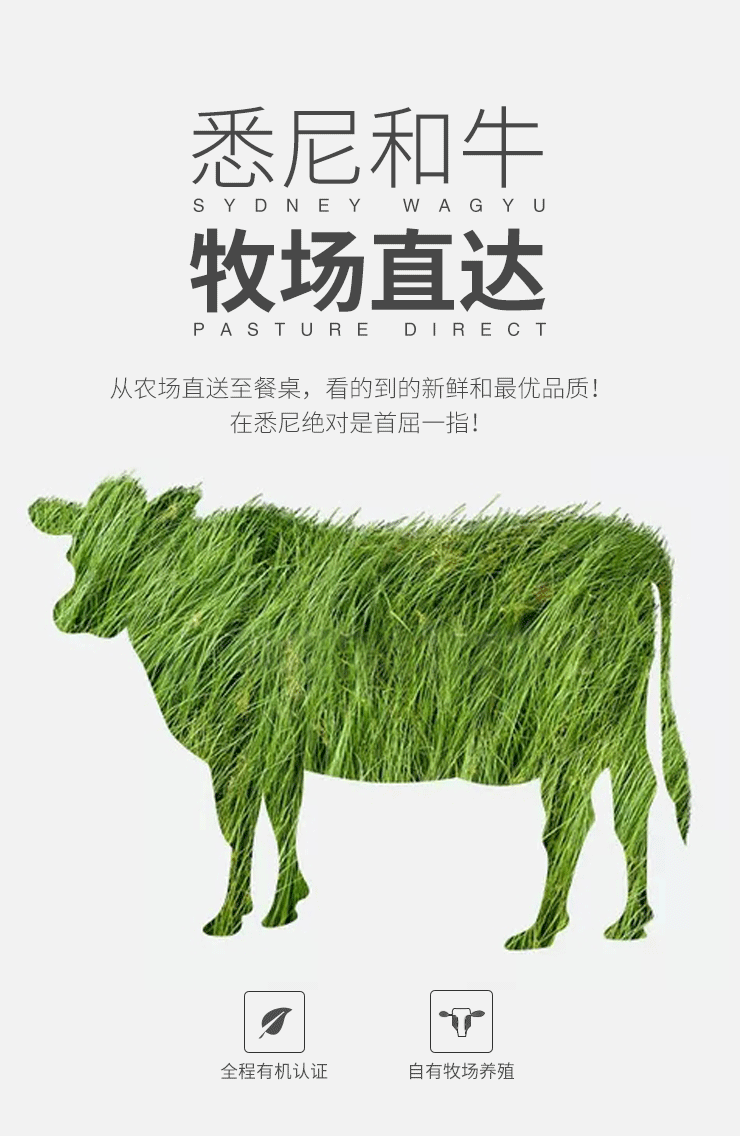 悉尼和牛网上购_牧场直送