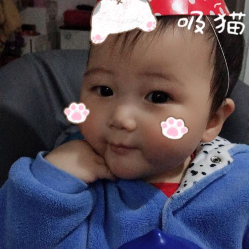 小布丁生日聚会邀请