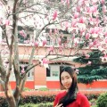電子書包區共同體研討活動