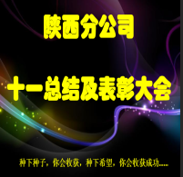 陕西分公司十一总结及表彰大会