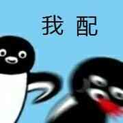 288黄鱼颁奖典礼