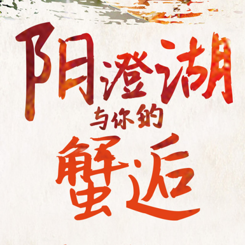 蟹蟹与你的一场蟹逅